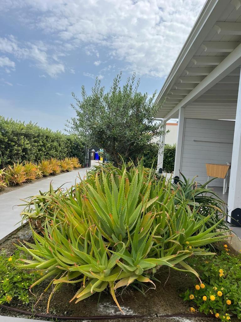 B&B Lo&G Lascari Exterior photo